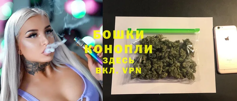 гидра вход  купить наркотики цена  Элиста  Марихуана White Widow 